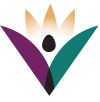 icon color